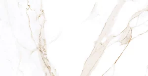 Плитка керамогранитная Azario BIANKA WHITE 60х120 глянцевый F3010821120G